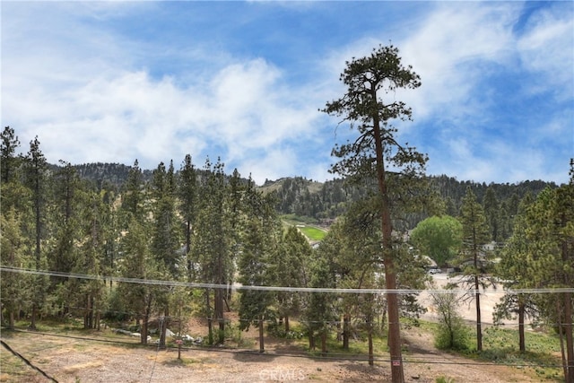 43230 Moonridge Rd, Big Bear Lake, CA 92315 - photo 36
