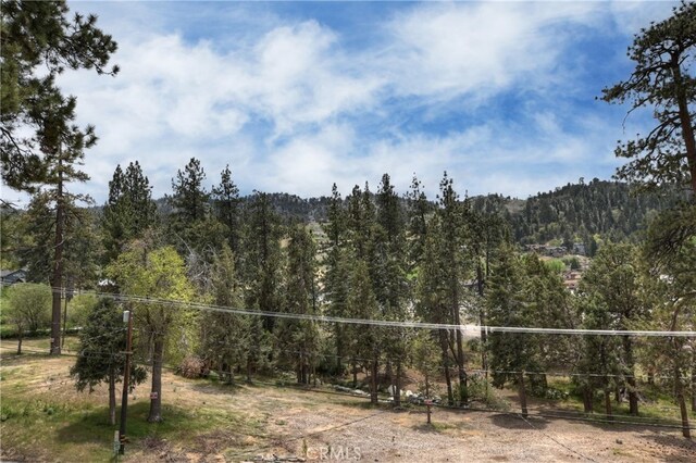 43230 Moonridge Rd, Big Bear Lake, CA 92315 - photo 37