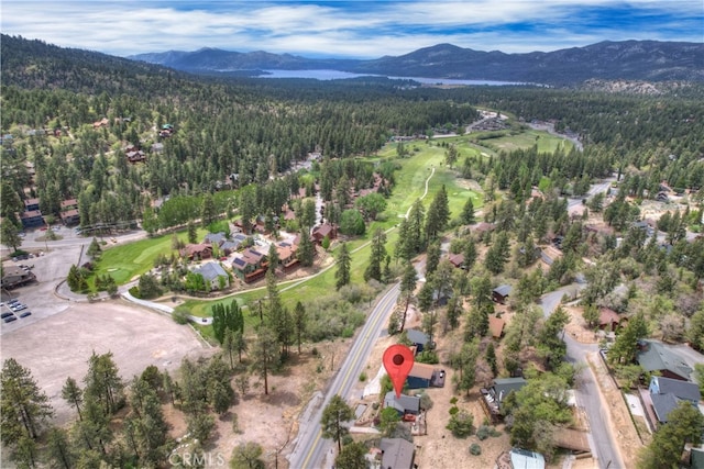 43230 Moonridge Rd, Big Bear Lake, CA 92315 - photo 2