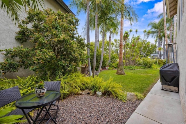 6839 Caminito Sueno, Carlsbad, CA 92009 - view of grassy yard featuring a patio