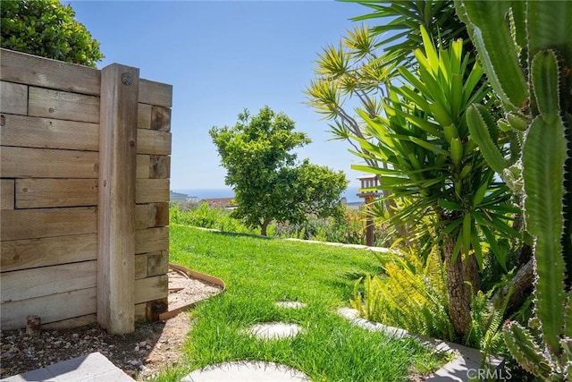 1155 Katella St, Laguna Beach, CA 92651 - view of yard