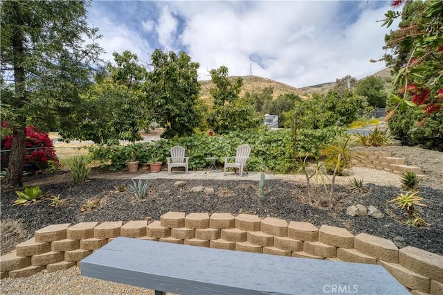 1770 Alrita St, San Luis Obispo, CA 93401 - view of yard with a patio and a mountain view