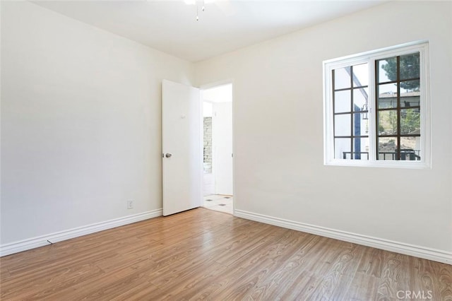 10347 Newhome Ave, Sunland, CA 91040 - photo 18