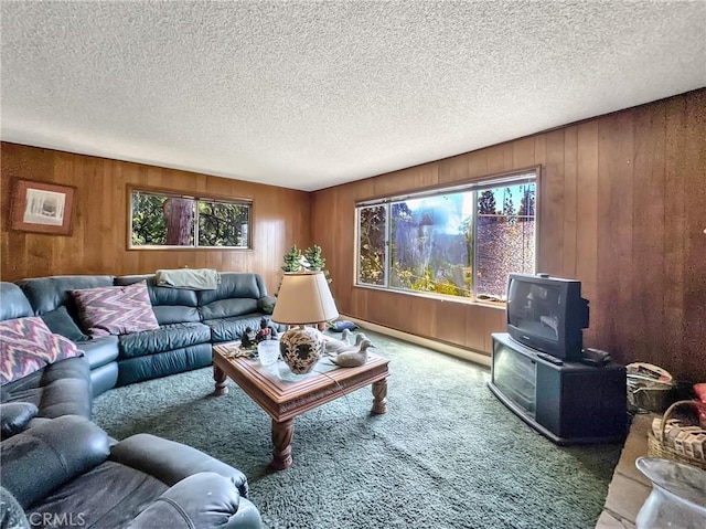 113 Fremont Rd, Lake Arrowhead, CA 92352 - living area with a baseboard radiator, a wood stove, a textured ceiling, carpet, and wood walls