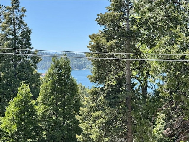113 Fremont Rd, Lake Arrowhead, CA 92352 - water view featuring a heavily wooded area