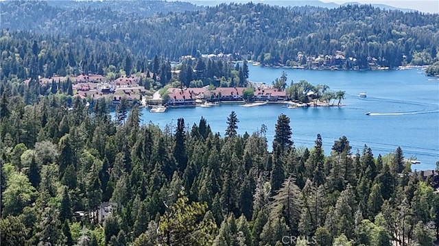 113 Fremont Rd, Lake Arrowhead, CA 92352 - water view featuring a heavily wooded area and mountains