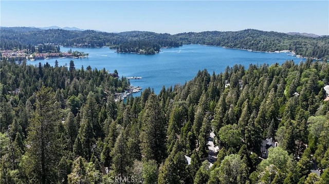113 Fremont Rd, Lake Arrowhead, CA 92352 - water view featuring a forest and a mountainous background