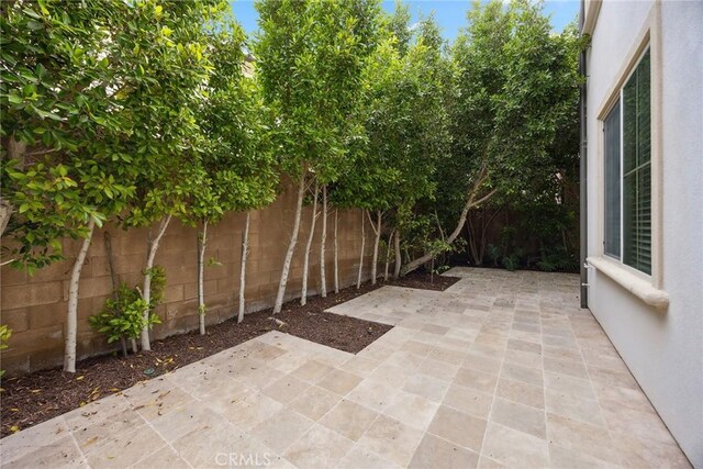 210 Desert Bloom, Irvine, CA 92618 - photo 30