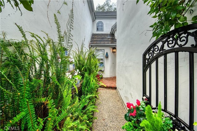 25536 Rue Terrase Unit 17, Laguna Niguel, CA 92677 - view of yard