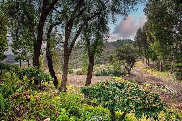 25536 Rue Terrase Unit 17, Laguna Niguel, CA 92677 - view of nature