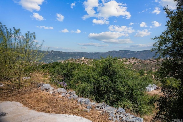 2620 Mar Vinga, Fallbrook, CA 92028 - mountain view