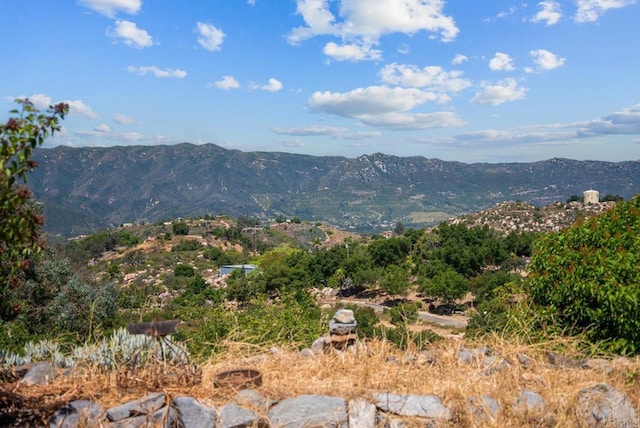 2620 Mar Vinga, Fallbrook, CA 92028 - mountain view