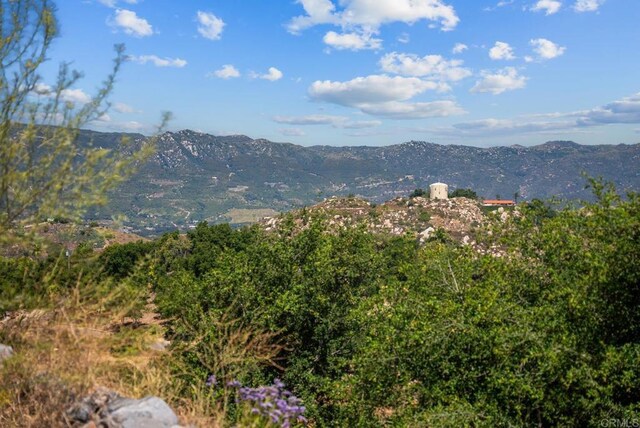 2620 Mar Vinga, Fallbrook, CA 92028 - mountain view