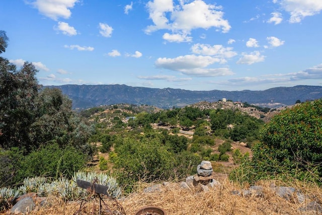 2620 Mar Vinga, Fallbrook, CA 92028 - view of mountain background