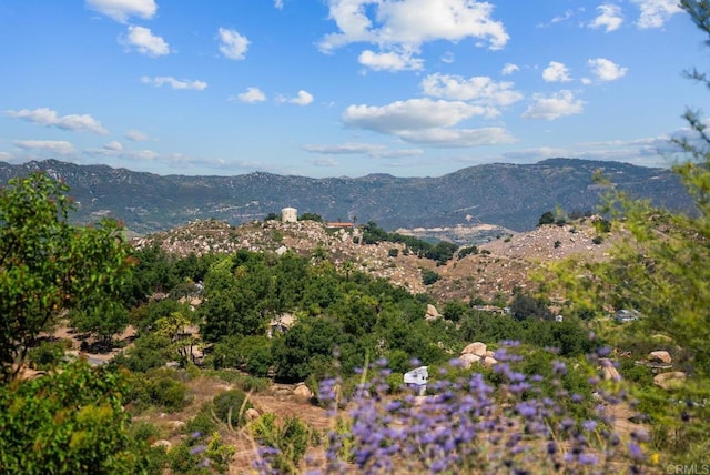 2620 Mar Vinga, Fallbrook, CA 92028 - view of mountain backdrop