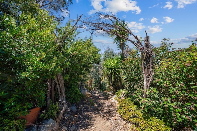 2620 Mar Vinga, Fallbrook, CA 92028 - view of nature