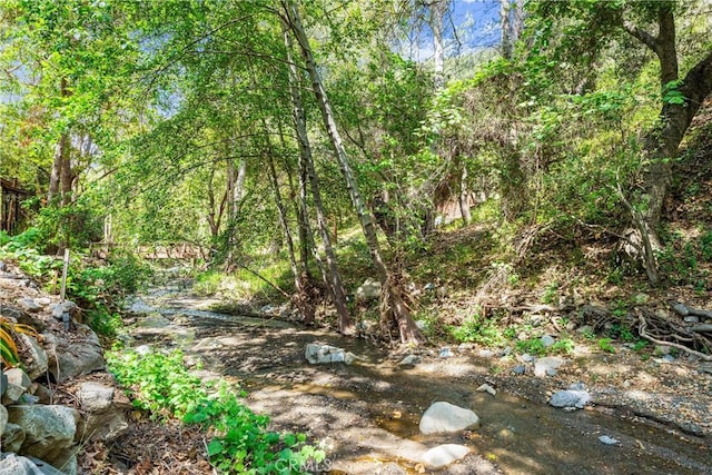 25 Hot Spring Canyon Rd, San Juan Capistrano, CA 92675 - view of local wilderness