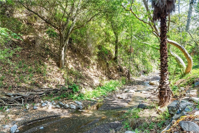 25 Hot Spring Canyon Rd, San Juan Capistrano, CA 92675 - view of tree filled area