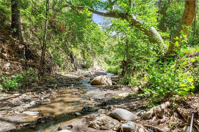25 Hot Spring Canyon Rd, San Juan Capistrano, CA 92675 - view of woods