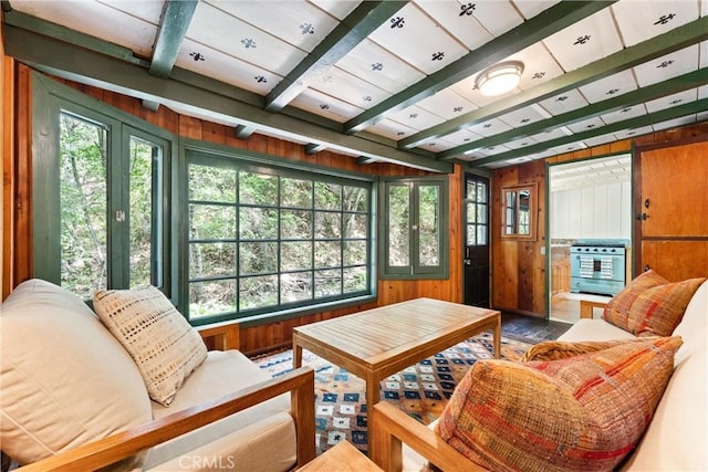 25 Hot Spring Canyon Rd, San Juan Capistrano, CA 92675 - living area with wooden walls, plenty of natural light, beamed ceiling, and wood finished floors