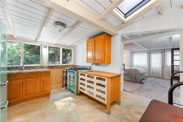25 Hot Spring Canyon Rd, San Juan Capistrano, CA 92675 - bar area featuring gas range oven, a sink, a skylight, and plenty of natural light