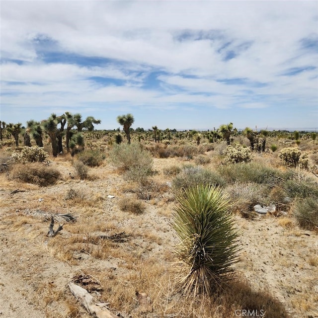 01234 Wilson Ranch Rd, Phelan, CA 92371