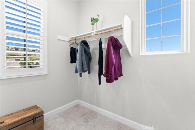147 Luneta Ln, Rancho Mission Viejo, CA 92694 - walk in closet featuring carpet flooring