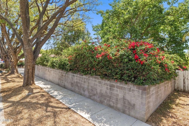 339 2nd St, Fillmore, CA 93015 - view of yard