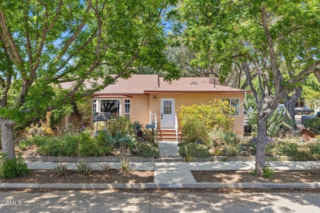 339 2nd St, Fillmore, CA 93015 - view of front of house featuring stucco siding
