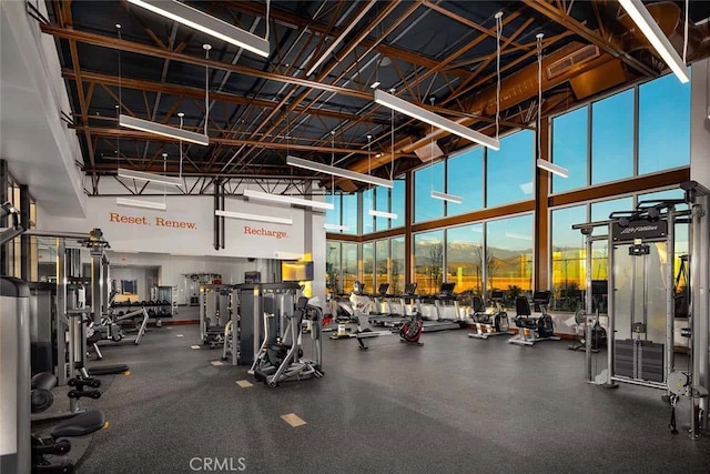 1578 Harmonie Ln, Beaumont, CA 92223 - gym with a towering ceiling