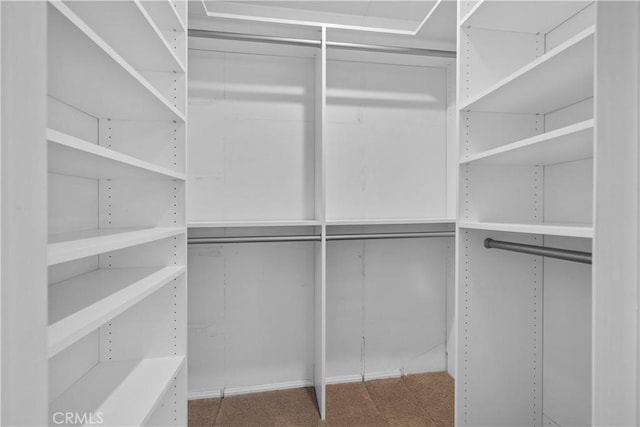 1641 Ford St, Redlands, CA 92373 - view of spacious closet