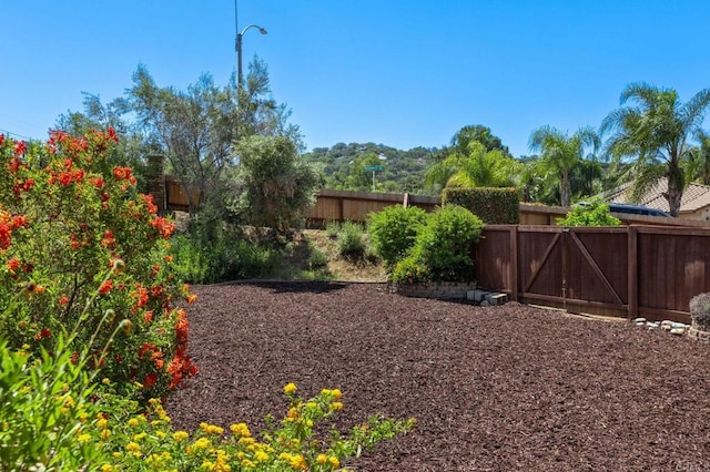 2292 Marquand Ct, Alpine, CA 91901 - view of yard