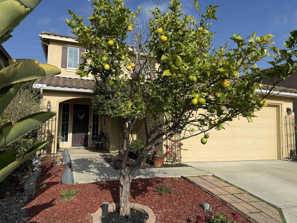 1176 Parkview Dr, Oceanside, CA 92057 - view of property hidden behind natural elements featuring a tile roof, stucco siding, and driveway
