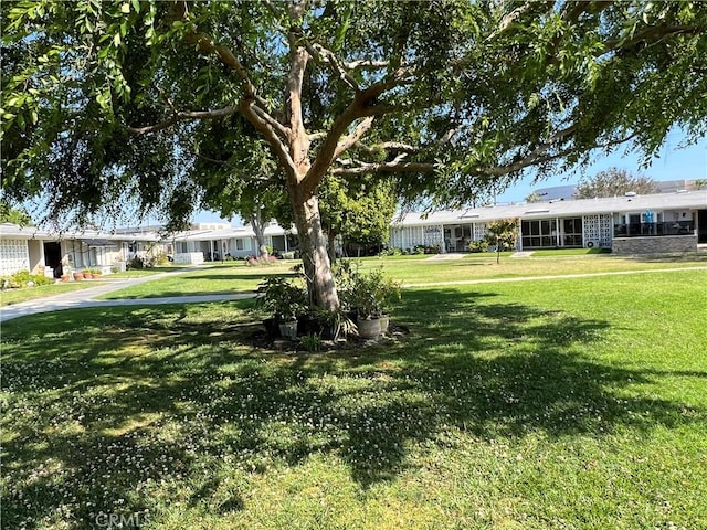 13962 El Dorado Dr Unit M2-60E, Seal Beach, CA 90740 - view of green lawn