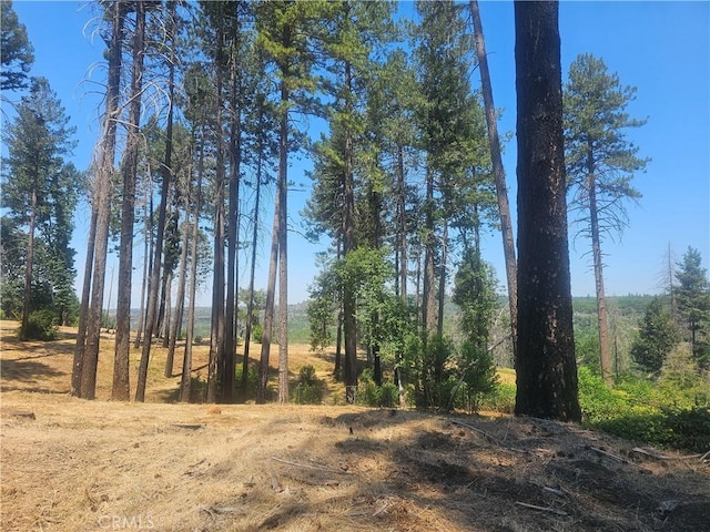 6649 Lincoln Dr, Paradise, CA 95969