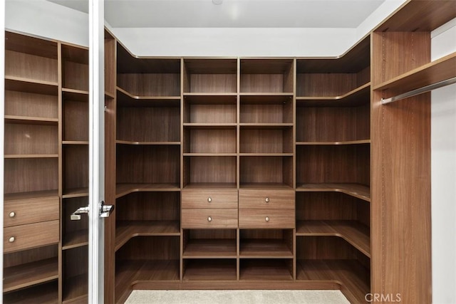 27 Delancy, Irvine, CA 92612 - view of walk in closet