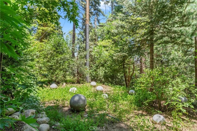 609 Millburn Rd, Lake Arrowhead, CA 92352 - photo 54