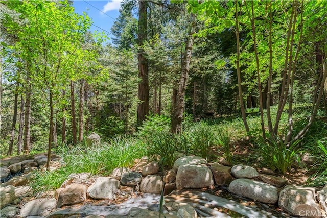 609 Millburn Rd, Lake Arrowhead, CA 92352 - photo 32