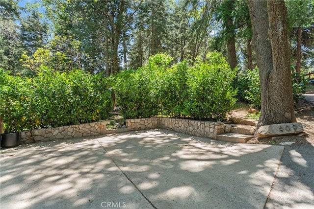 609 Millburn Rd, Lake Arrowhead, CA 92352 - photo 58