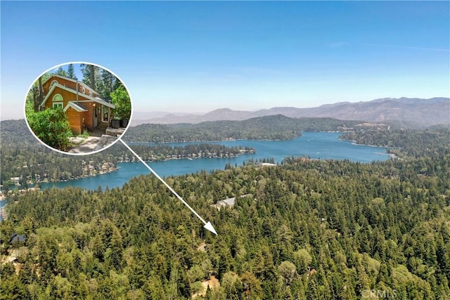 609 Millburn Rd, Lake Arrowhead, CA 92352 - photo 59