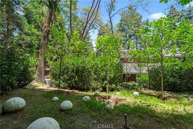 609 Millburn Rd, Lake Arrowhead, CA 92352 - photo 53