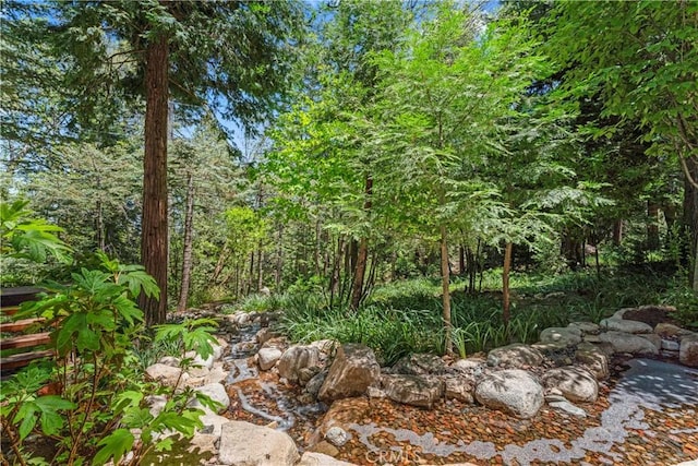 609 Millburn Rd, Lake Arrowhead, CA 92352 - photo 31