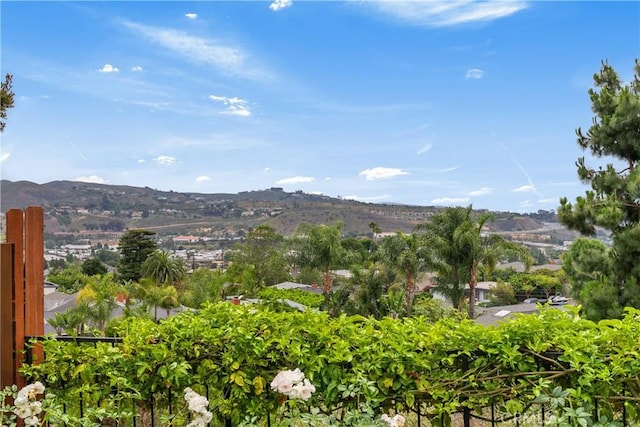 25282 Sea Rose Ct, Dana Point, CA 92629 - photo 38