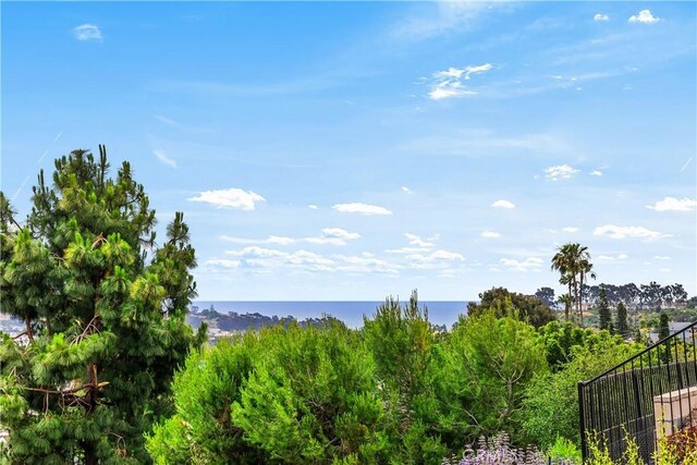 25282 Sea Rose Ct, Dana Point, CA 92629 - photo 37