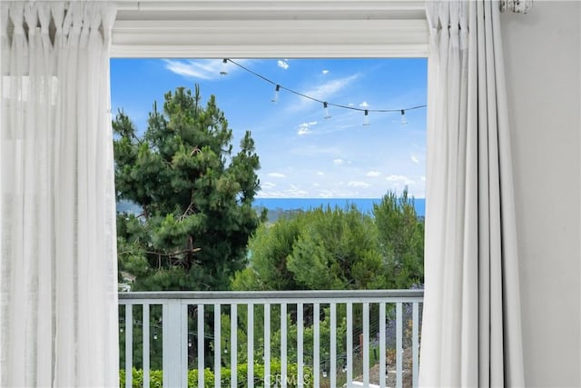 25282 Sea Rose Ct, Dana Point, CA 92629 - photo 21