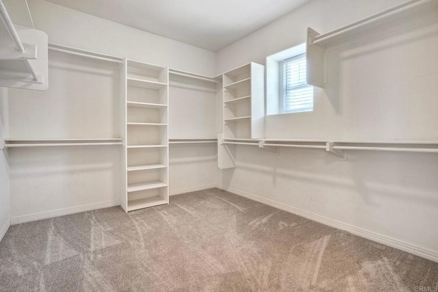 1026 Turnstone Rd, Carlsbad, CA 92011 - walk in closet featuring carpet