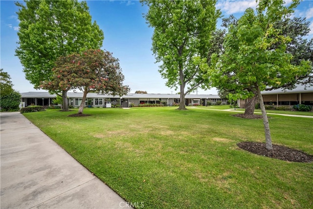 1420 Northwood Rd Unit 241C, Seal Beach, CA 90740 - view of grassy yard