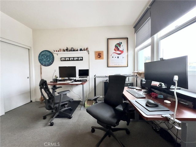 3945 Eagle Rock Blvd Unit 51, Los Angeles, CA 90065 - view of carpeted home office