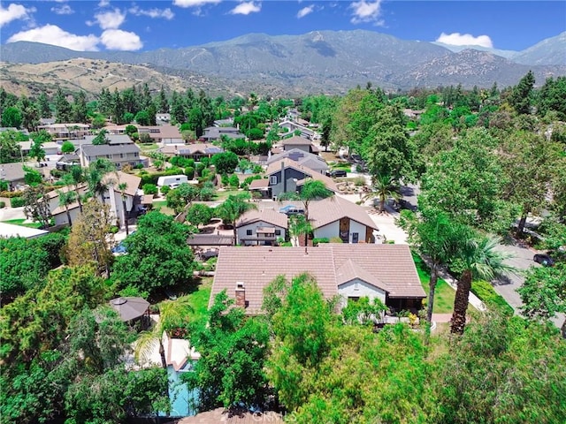 2305 Bonnie Brae Ave, Claremont, CA 91711 - photo 64