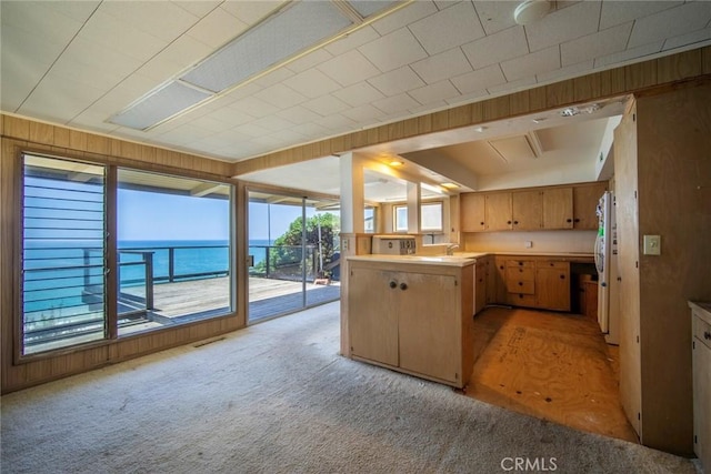 2018 Calle De Los Alamos, San Clemente, CA 92672 - kitchen with freestanding refrigerator, light carpet, a peninsula, a water view, and light countertops